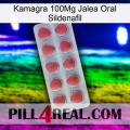 Kamagra 100Mg Oral Jelly Sildenafil 18